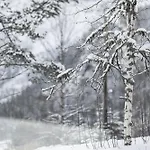 Nyork Chalet, Hemsedal