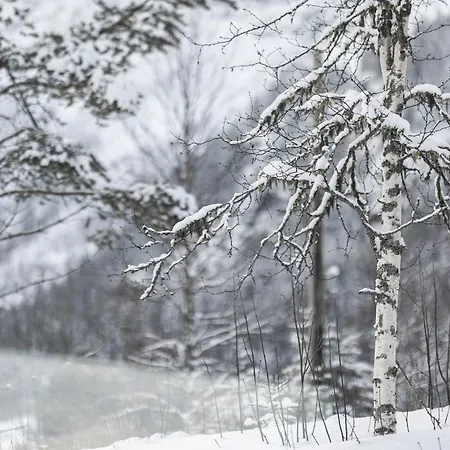 Nyork Chalet, 海姆瑟达尔