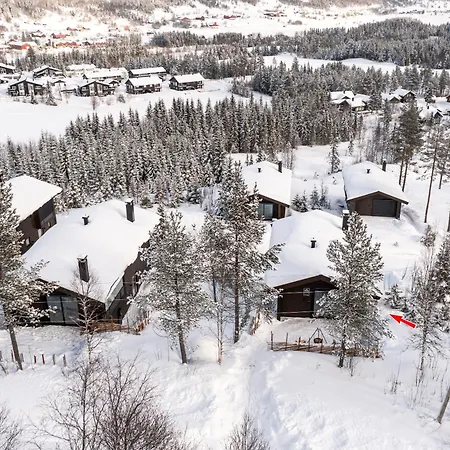 Σπίτι διακοπών Nyork Chalet, Hemsedal